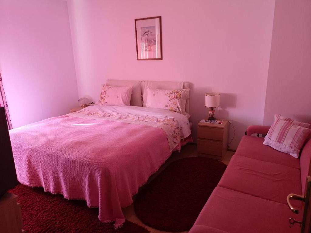 Casa Gotika Guest House Vama  Luaran gambar