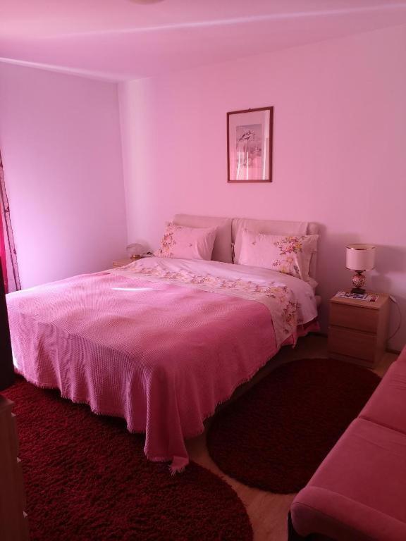 Casa Gotika Guest House Vama  Luaran gambar