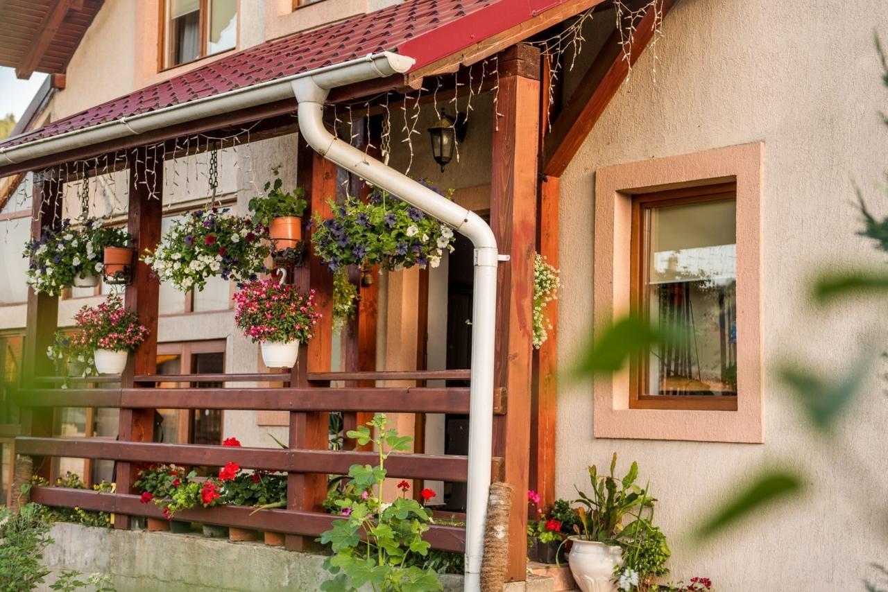 Casa Gotika Guest House Vama  Luaran gambar