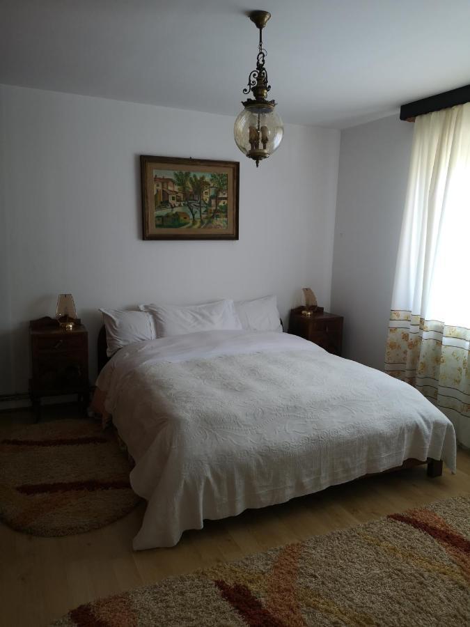 Casa Gotika Guest House Vama  Luaran gambar